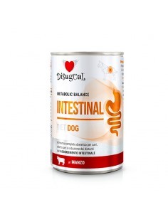 LATA PERRO INTESTINAL 2