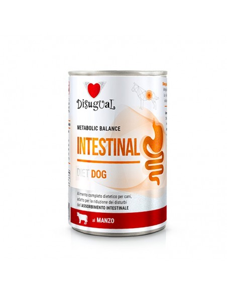 LATA PERRO INTESTINAL