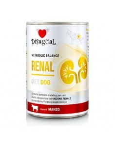 RENAL DISUGUAL DIET 2