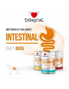 LATA PERRO INTESTINAL