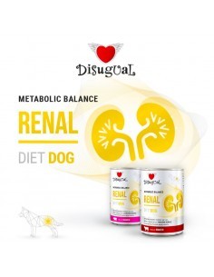 RENAL DISUGUAL DIET
