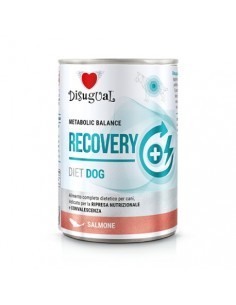 Dieta recuperacion perro 2