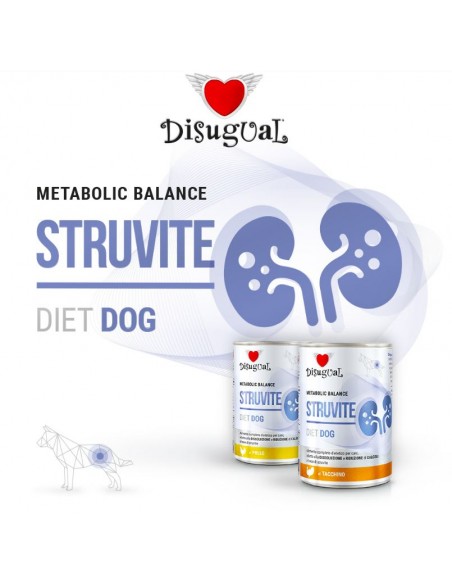 latas piedras riñon perro. estruvita