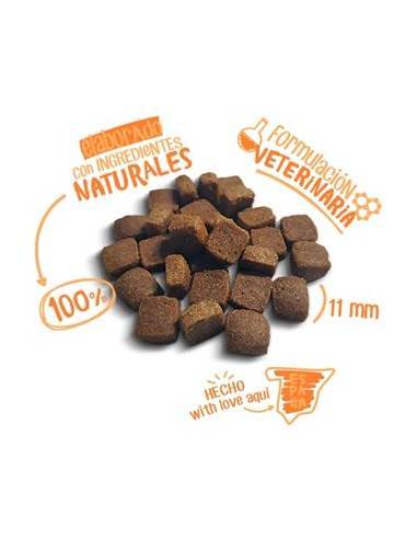 KOME SALMON, FRUTAS Y VERDURAS