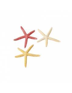 estrellas de mar