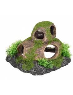 PIEDRAS CON AGUJEROS Y MUSGO