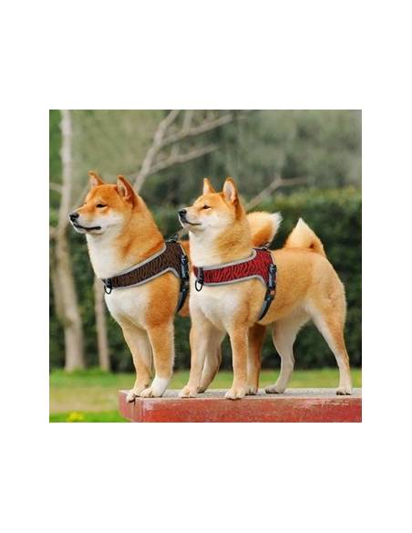 ARNES EDUCATIVO 3 ARGOLLAS