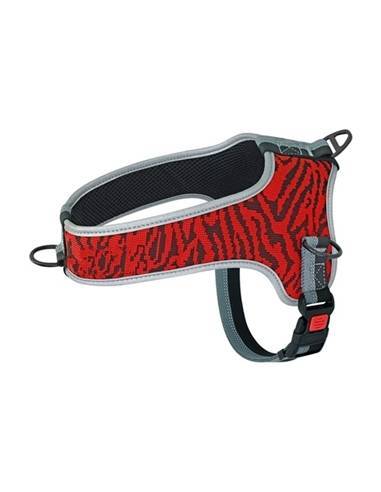 ARNES EDUCATIVO SAFARI