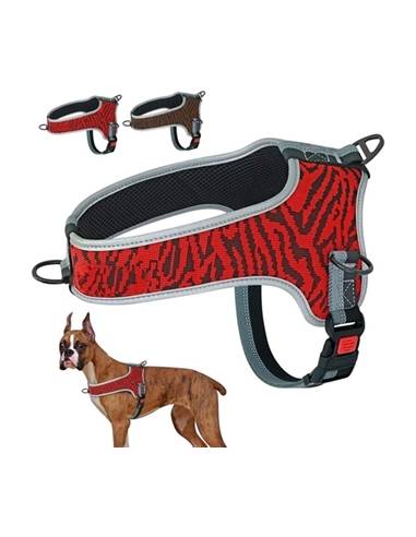 ARNES EDUCATIVO SAFARI