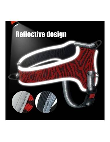 ARNES EDUCATIVO SAFARI