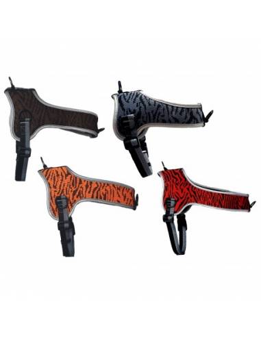 ARNES EDUCATIVO SAFARI