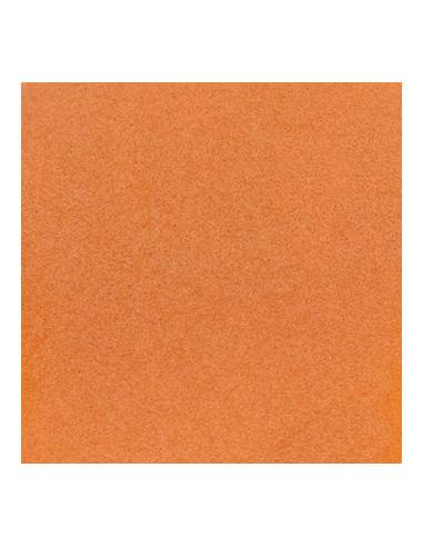 INSTANT ARTEMIA OCEAN NUTRITION