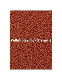 PELLET MARINO FORMULA ONE SMALL 2