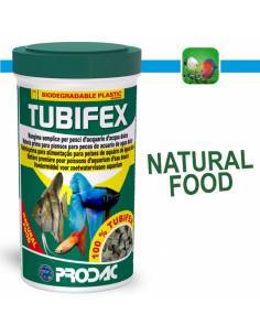 TUBIFEX (PECES CARNIVOROS)
