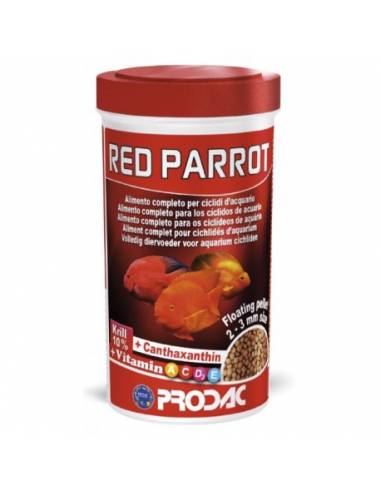 RED PARROT