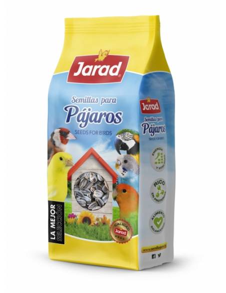PIPA IREGUI PIPA IREGUI
