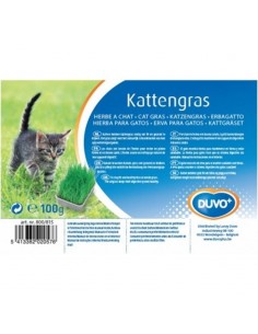 HIERBA PARA GATOS 100GR DUVO