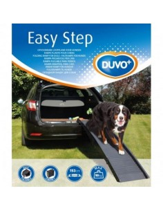RAMPA PLASTICO PARA COCHES 2