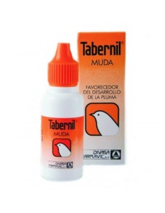 TABERNIL MUDA 2