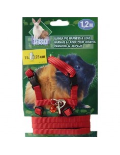 PETRAL CON RAMAL PARA COBAYA