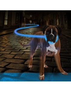 COLLAR LUMINOSO PARA PERROS 2