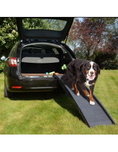 RAMPA PLASTICO PARA COCHES