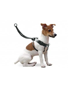 PETRAL EASY WALKER Arnes de...