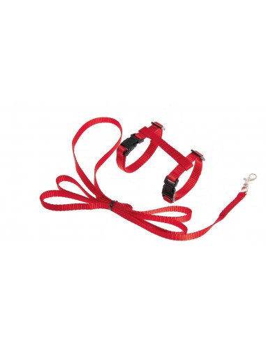 PETRAL CON RAMAL PARA GATO