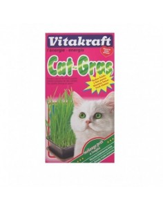 HIERBA PARA GATOS 120GR VITAKRAFT