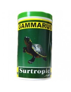 GAMMARUS SURTROPIC 2