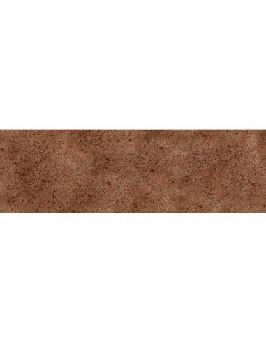 TETRA HOLIDAY TARRINA 30GR