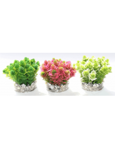 PLANTA PLASTICO SYDECO  8CM AMAZON MOSS 2