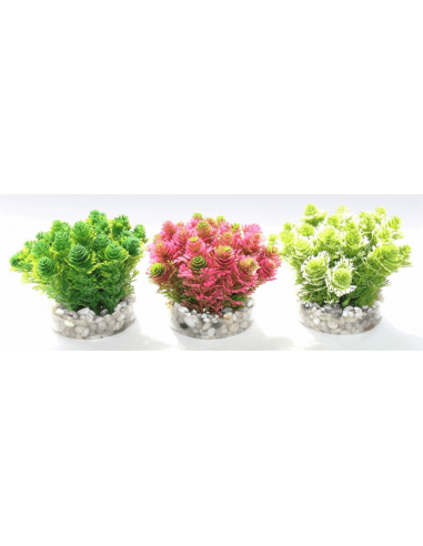 PLANTA PLASTICO SYDECO  8CM AMAZON MOSS PLANTA PLASTICO SYDECO  8CM AMAZON MOSS