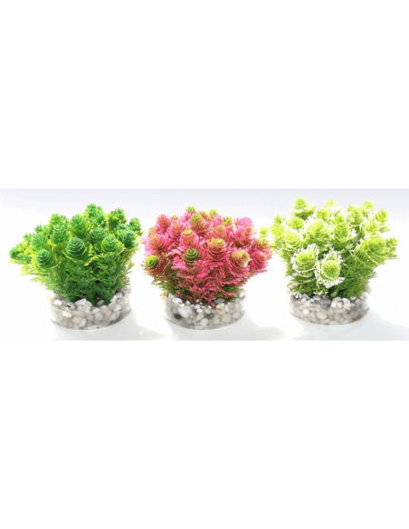 PLANTA PLASTICO SYDECO  8CM AMAZON MOSS PLANTA PLASTICO SYDECO  8CM AMAZON MOSS