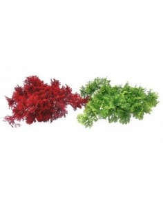 PLANTA PLASTICO 8 CM TROPICAL MOSS