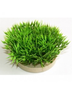 PLANTA PLASTICO CESPED 7 CM GREEN MOSS