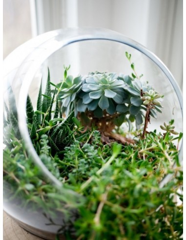 PECERA DE CRISTAL 25 CM 7 LITROS