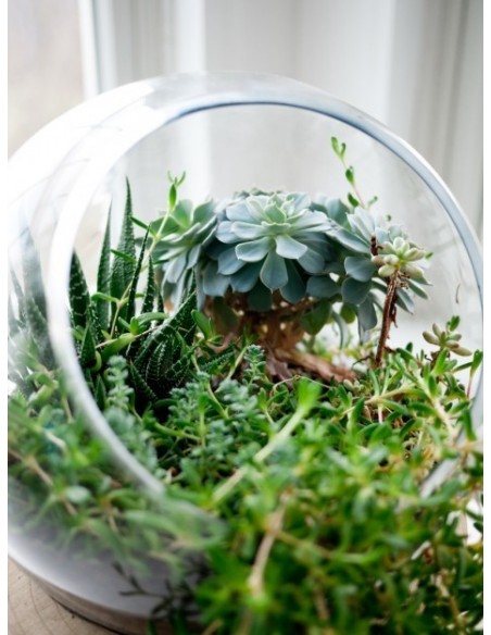 PECERA DE CRISTAL 25 CM 7 LITROS