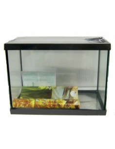 ACUARIO CON MARCO COMPACT 17 LITROS 2