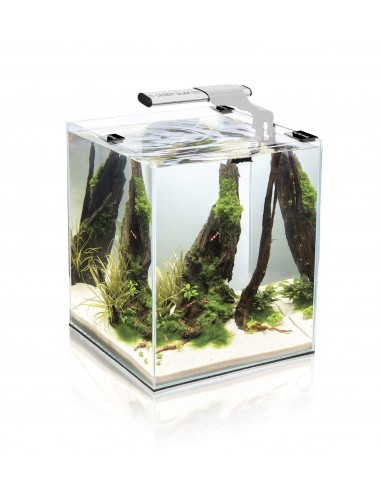 PANTALLA PLANT LEDDY SLIM AQUAEL