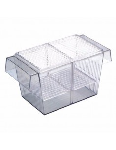 PARIDERA GUPPY PEQUEÑA 2