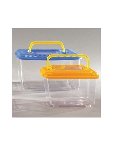 TRANSPORTIN TRANSPARENTE