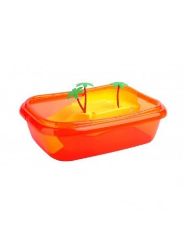 TORTUGUERA CON MARCO ISCHIA TORTUGUERA CON MARCO ISCHIA