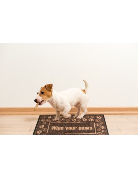ALFOMBRA - FELPUDO "WIPE YOUR PAWS" INTERIOR