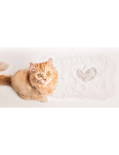 ARENA AGLOMERANTE WHITE FRESH CAT 5KG 2