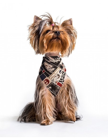 PAÑUELO BANDANA STAR WARS HALCON 