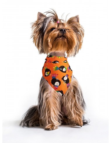 PAÑUELO BANDANA TUCAN