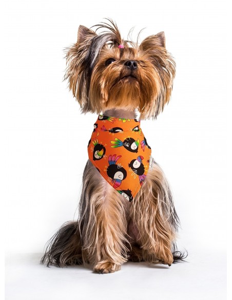 PAÑUELO BANDANA TUCAN