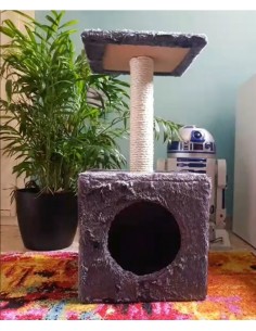 POSTE GATO CON CASA