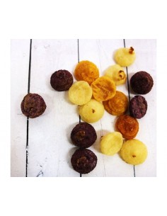 BOCADITOS DE FRUTA
